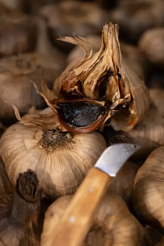 Les richesses gastronomiques du territoire Drôme Ardèche