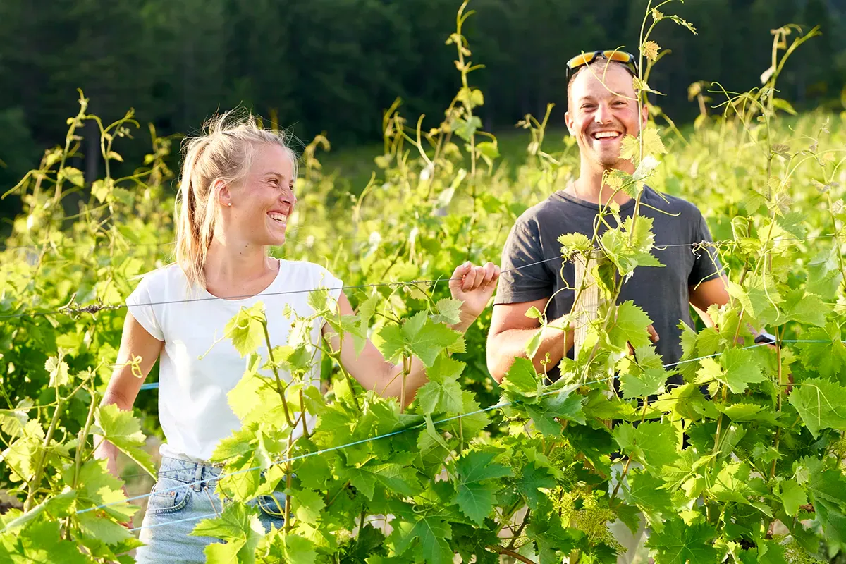 Les richesses gastronomiques du territoire Drôme Ardèche